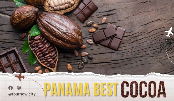 best chocolate of panama